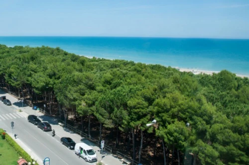 Hotel in Alba Adriatica: Zimmer mit Meersicht 